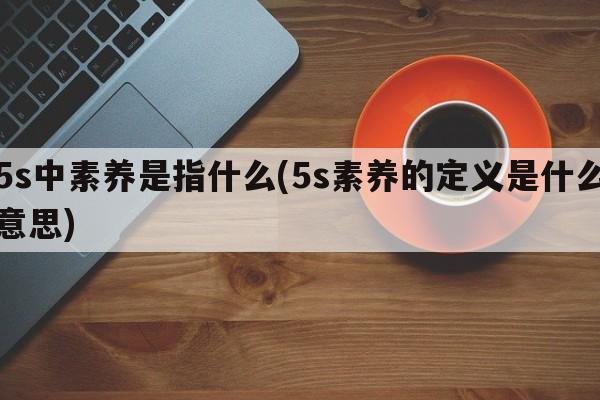 5s中素养是指什么(5s素养的定义是什么意思)